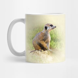 Meerkat Mug